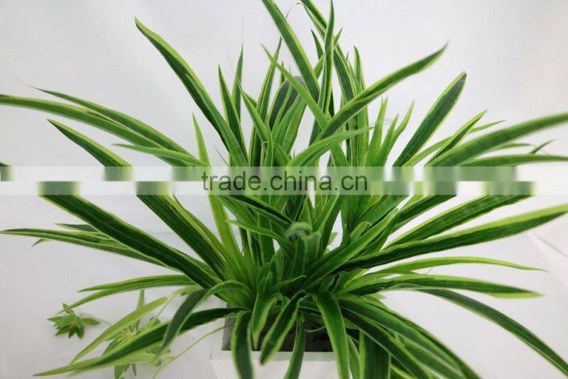 artificial white edge spider plant hanging spider plant