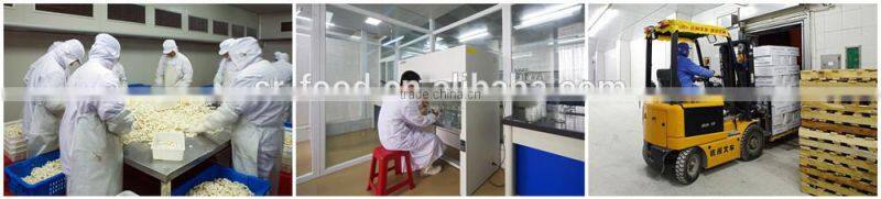 hot sale natural flavor calamari squid rings