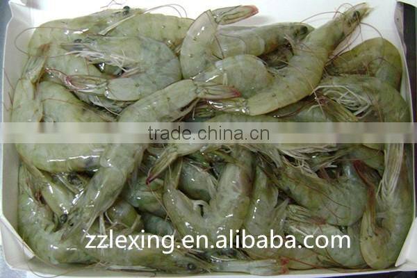 frozen vannamei white shrimp