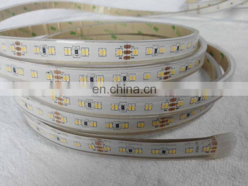 Underwater led strip light ip68 tow color led 3014 224leds CCT temperature color change tape