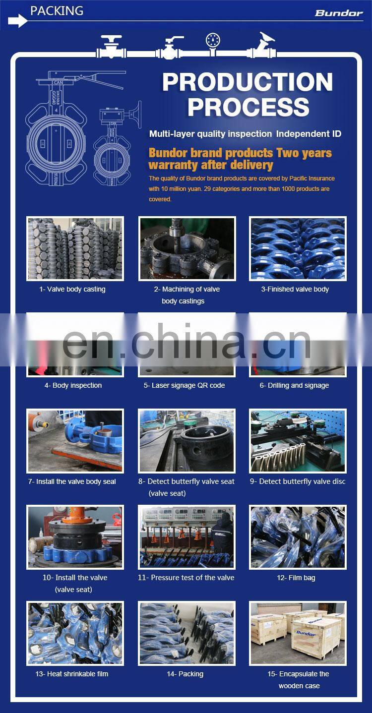 Bundor 6 Inch 3 inch pn16 pn25 forged steel carbon steel rising stem Water Gate Valve Manual Slide Gate Valve