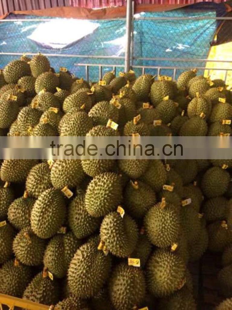 VIET NAM DURIAN- monthong durian