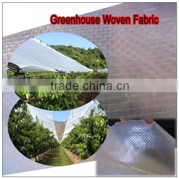 Europe farming and orchard cover transparent pe tarpaulin greenhouse film