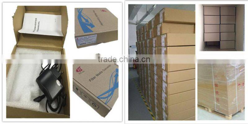 101001000M Dual fiber media converter