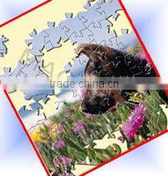 puzzle knife board mould for making jiagsaw/excellent in quality