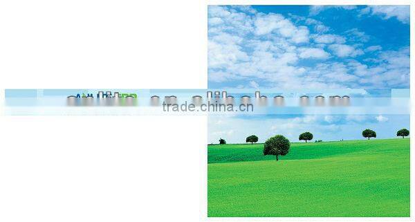 High Quality GRP translucent fibre glass sheet