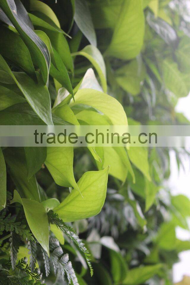 plant wall, vertical garden green wall plastic plants walls indoor and outddor use Quality Choice
