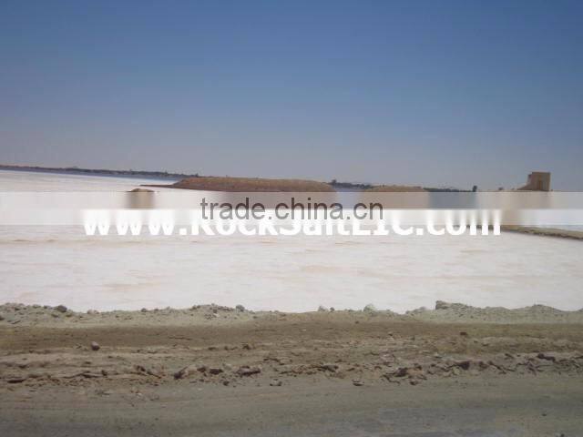 Bulk Sodium Chloride 98% NaCl l Industrial grade Sodium Chloride l Deicing Salt l SGS analysis