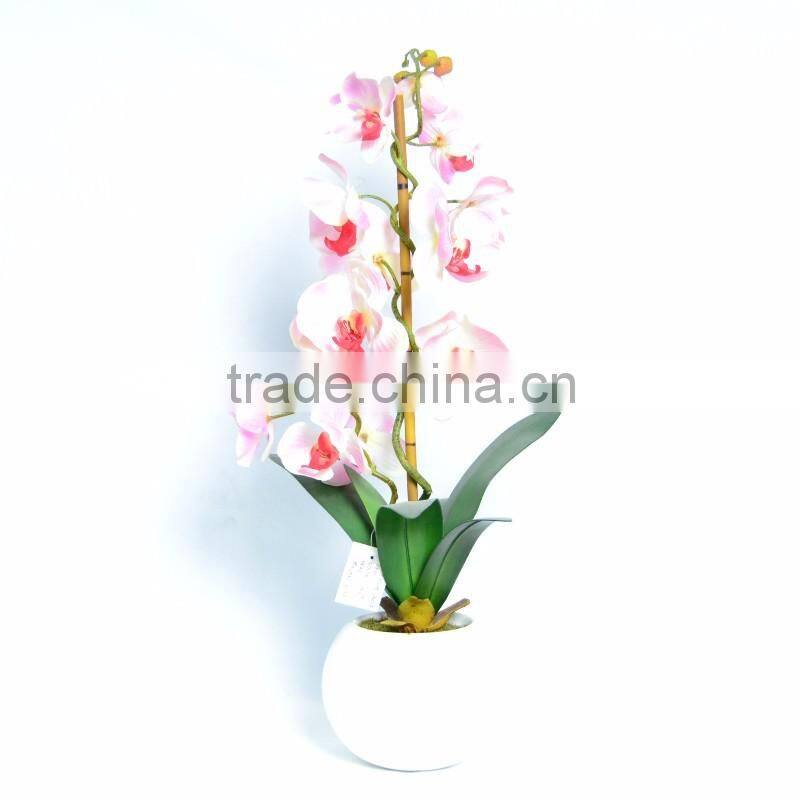 Artificial Silk Phalaenopsis Orchids Centerpiece in Ceramic Base