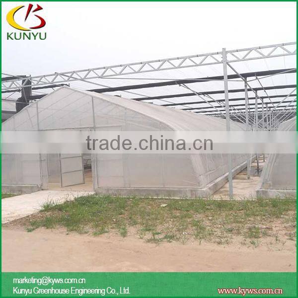 Arch roof type tunnel greenhouse backyard greenhouse kits