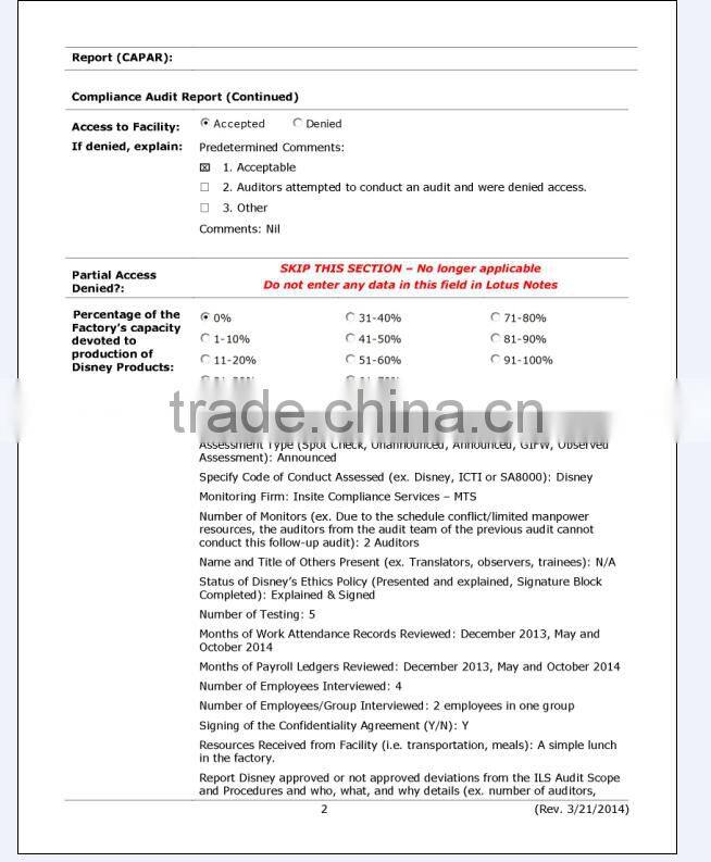 High Quality New Design Embroidered Chenille Patches