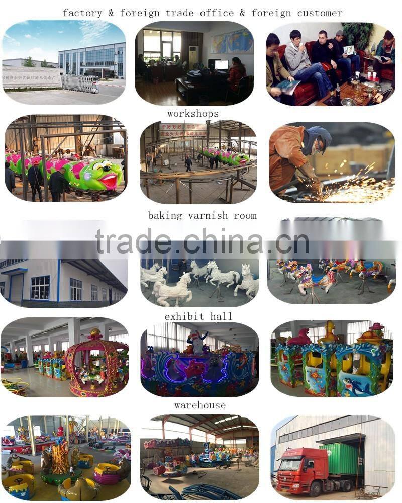 newest amusement park double flying rides / outdoor amusement rides