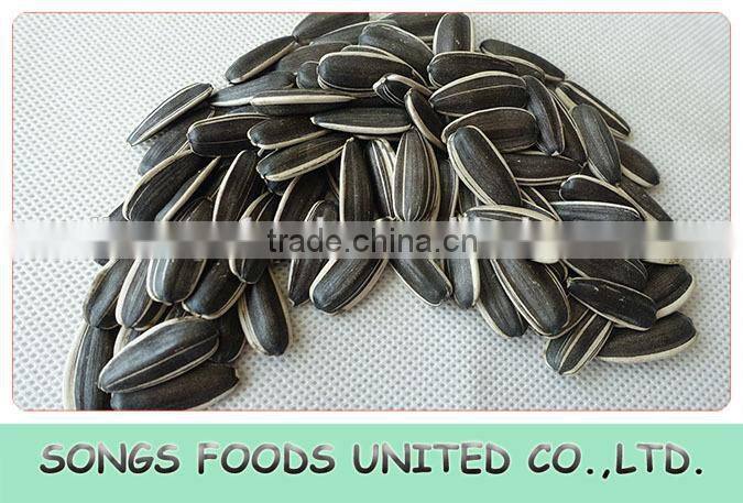 Crop Top Wholesale Sunflower Seeds New Crop