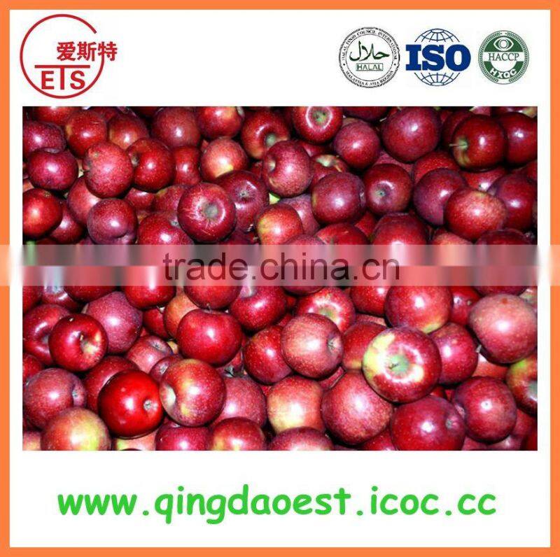 peanut kernels/blanched peanuts/peanuts in shell