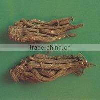 Natural Chinese angelica