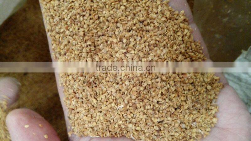 Goji Farm supply high quailty goji berry seeds/NQ-01