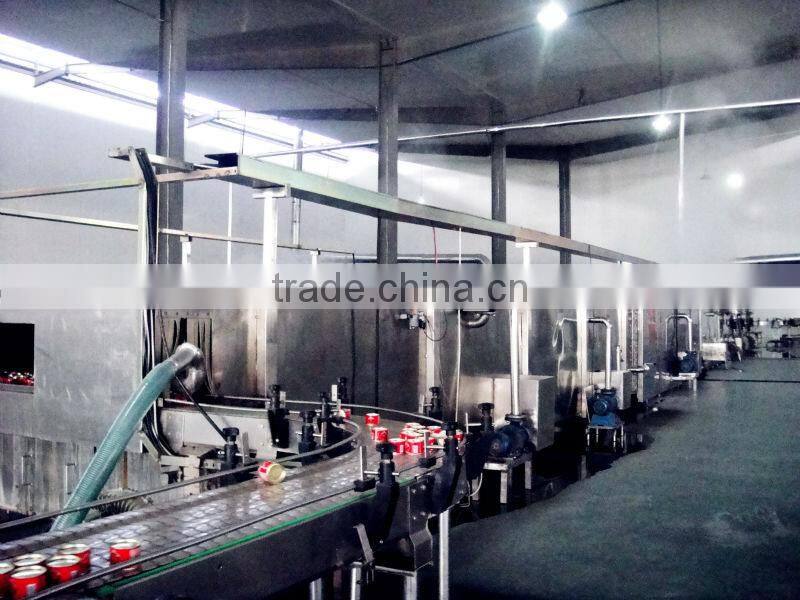 different brix best price canned ketchup ,tomato paste,fresh tomato sauce good factory