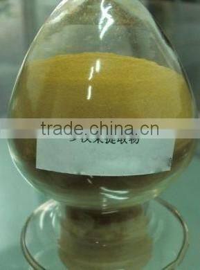Nutritional Best fruit Luo han guo extract / monk fruit extract powder with mogrosive V 20%