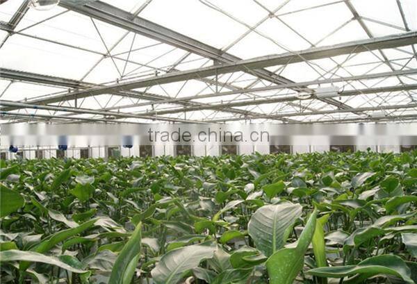Big Air Flow Greenhouse or Poultry Air Circulation Fan made in china