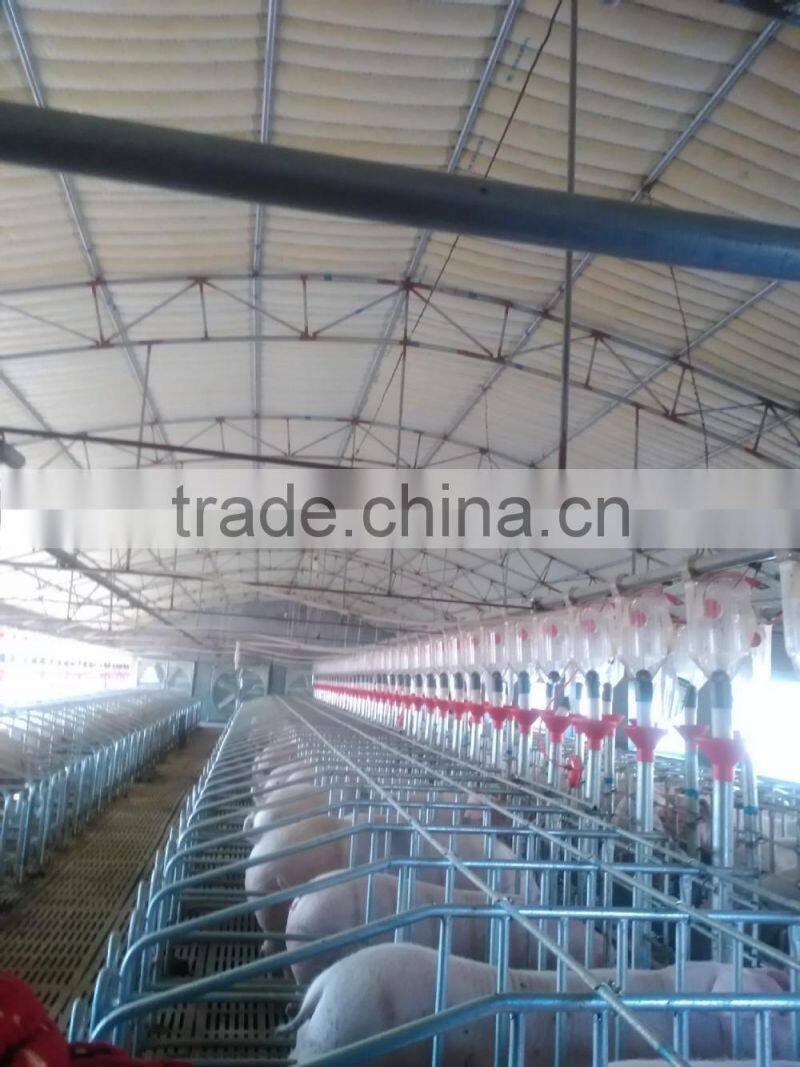 chicken nipple drinkers