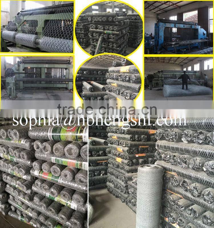 PVC coated Chicken Wire Mesh (Hexagonal Wire Netting)