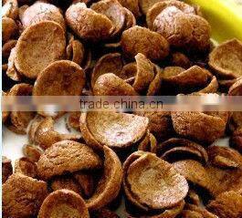 2014 Automatic slanty corn flakes production line 86-15553158922