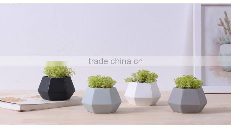 New deign small hexagon matte porcelain indoor decorative pots planters