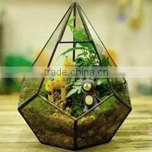 Micro landscape terrarium ornament hanging crystal glass flower vase
