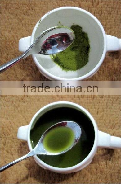 High Quality 18/8 Stainless Steel Spoon,Tea Spoon for Promotion