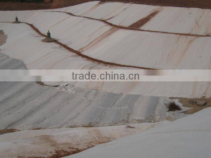 Filament Spunbond Needle Punched Geotextile with Competitive Price