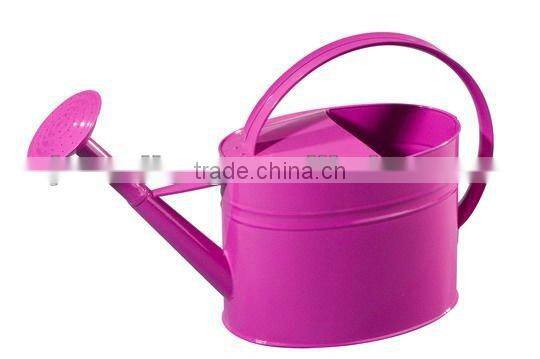 3L Galvanized Watering Can