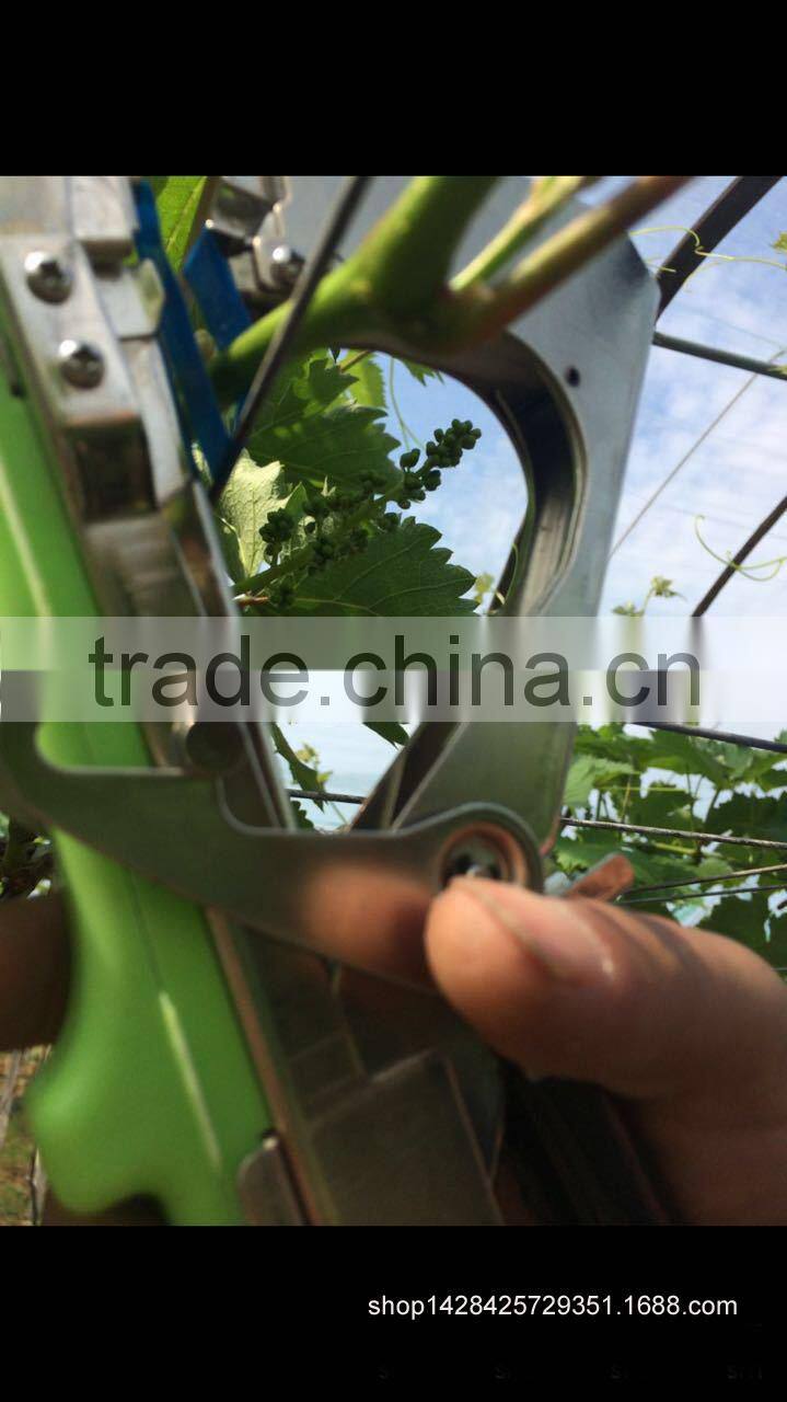 no scrap tape bander ,hand tying machine,wire galvanized, Wireless Vineyard, Vineyard