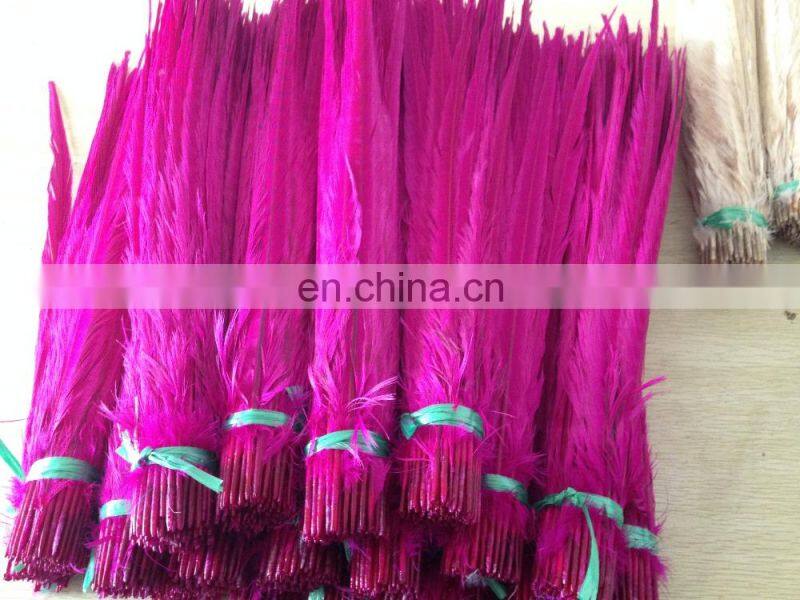 white color ringneck pheasant feathers