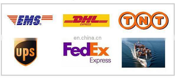 Oval zinc alloy belt buckle/custom belt accessories