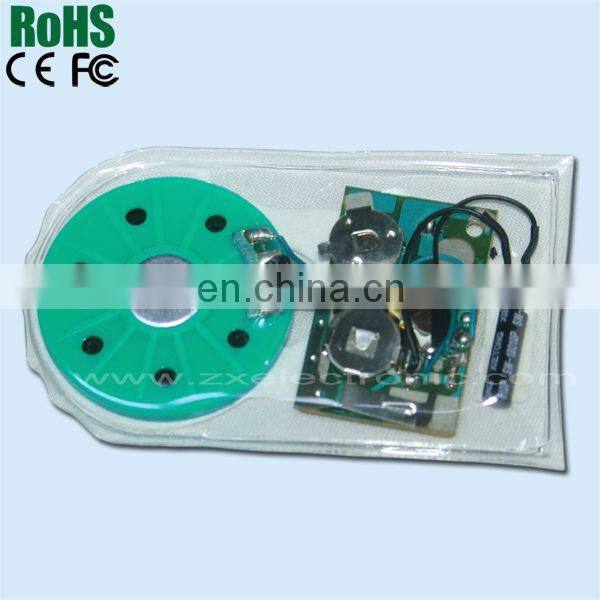 Waterproof sound chip for cloth or shoes