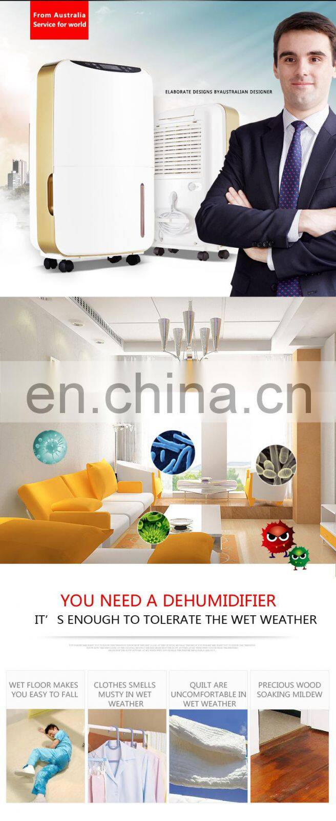 High Temperature Dehumidifier for home use 220V