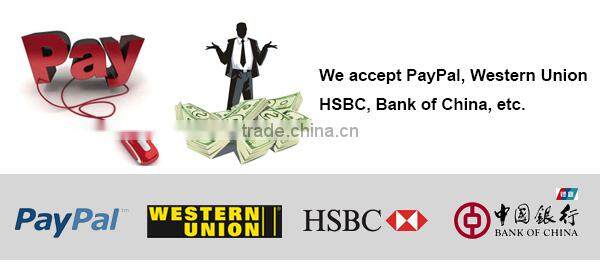 China manufacturer G9 LED light