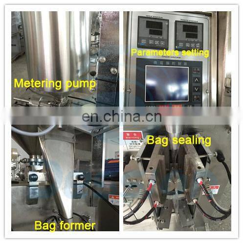 DS-200Y Small Sachet Pasta Sauce Packing Machine