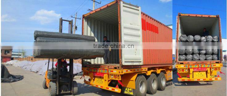 LLDPE Geomembrane