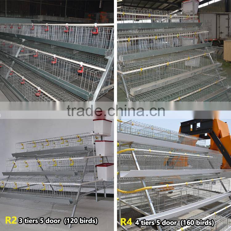 China factory commercial chicken use automatic hen layer cage for chickens