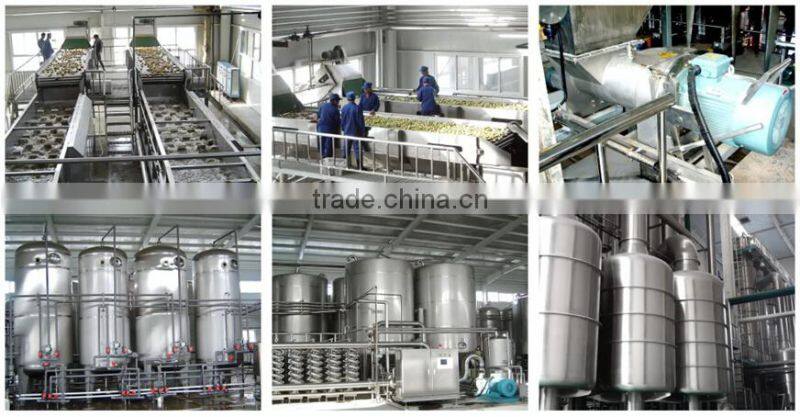 Turnkey project of apple juice plant