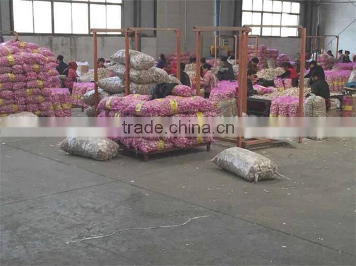 garlic in brine garlic pickles garlic