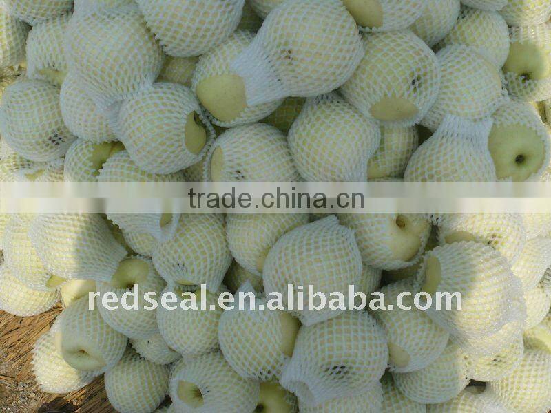 Fresh golden delicious apple