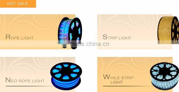 Hot sales 220V Crystal Blue LED Rope Light