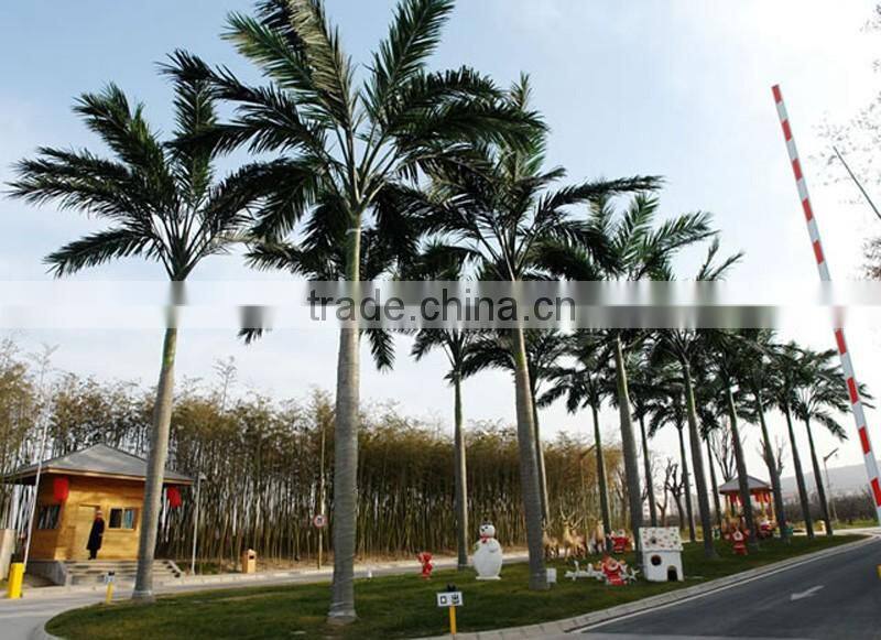 Bus station Landscaping Big Artificial Palm Tree