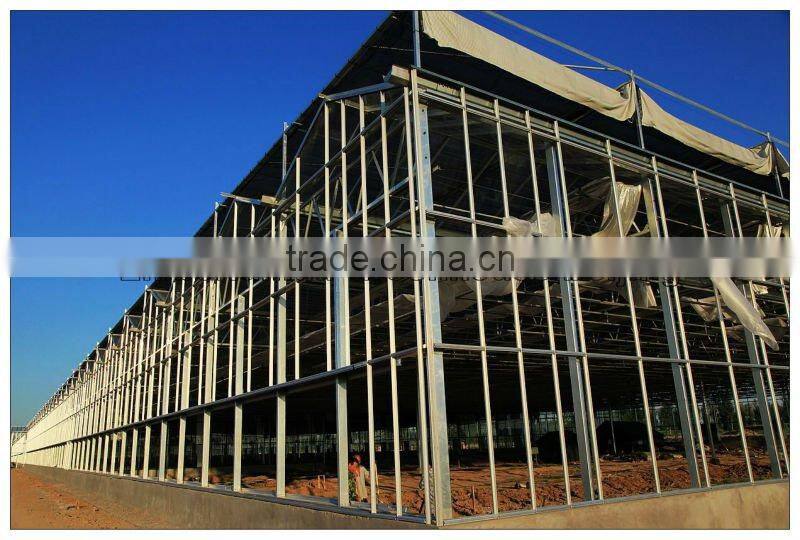 Large Span Glass Multi-span Greenhouse