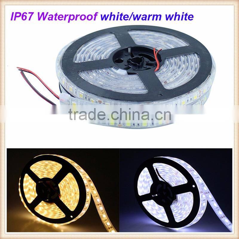 LED Light Source and Flex LED Strips Type 5 Meter 5050 SMD Rigid RGB led strip light