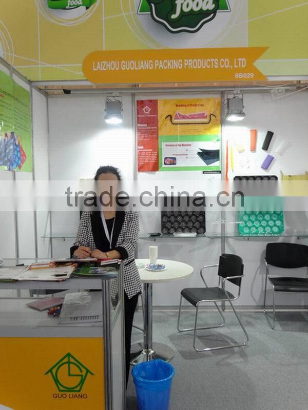 Onsite Check 7YR Alibaba Golden Supplier Absorbent Plastic Food Tray For Fish