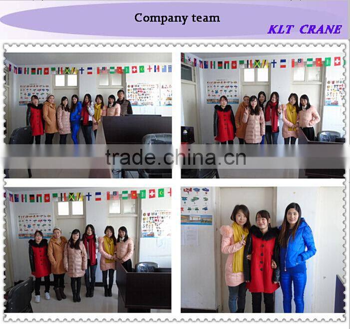 Hot sale light duty reasonable price 200-630kg balance crane PAJ series for sale