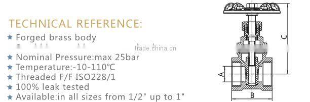 ART.4012 3/4 inch Water Brass Gate Valve with Steel Handwheel Brass Gate Valve G 1/2" DN15 (BSP) for Pipe Plumbing Sluice Valve